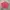 COTTONINK Casual Crop top Wanita multicolor photo 3