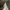 Dickies Vintage Streetwear Dungaree Pria green photo 6