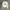 Casual Sweatshirt Wanita white photo 1