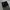 Dickies Vintage Y2K Jeans Pria black gray photo 2
