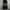 Dickies Vintage Y2K Jeans Pria black gray photo 3