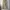 Dickies Streetwear Minimalist Formal pants Pria tan photo 3