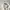 Gramicci Vintage Y2K Formal pants Pria white photo 2