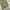 Carhartt Vintage Y2K Casual pants Pria green photo 5