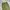 Carhartt Vintage Y2K Casual pants Pria green photo 4