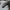 Nike Casual Sneakers Pria white photo 6