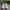 Nike Casual Sneakers Pria white photo 4