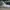 Nike Casual Sneakers Pria white photo 7
