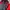Nike Casual Sweatshirt Pria red black photo 5