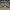 Nike Minimalist Casual Sneakers Wanita white gray photo 1