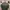 GU Vintage Casual Sweater Pria green gray photo 1