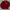 Covernat Casual Trench coat Pria burgundy photo 3