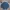 Woolrich Vintage Casual Polo shirt Pria navy blue photo 1