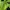 Hummel Casual Casual shirt Pria green black photo 6
