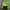 Hummel Casual Casual shirt Pria green black photo 2
