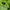 Hummel Casual Casual shirt Pria green black photo 5