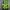 Hummel Casual Casual shirt Pria green black photo 1