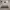 Olivia Lauren Casual Sweater Wanita multicolor photo 1