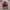 Japanese brand Streetwear Casual Sweater Wanita multicolor photo 1