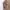 OLIVE des OLIVE Track jacket Pria brown photo 4