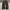 Skater Sportswear Jeans Pria black photo 6