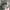 Realtree Y2K Skater Hat Pria gray photo 1