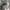 Realtree Y2K Skater Hat Pria Gray