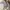 Realtree Y2K Skater Hat Pria gray photo 7