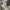 Realtree Y2K Skater Hat Pria gray photo 6