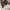 Balenciaga Futurist Shoulder bag Wanita gold photo 3