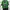 Oakley Y2K Skater Formal Shirt Pria Green Black