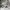 Obey Streetwear Hoody Pria white photo 6