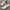 New Balance Futurist Casual Sneakers Pria tan photo 1