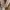 GU Vintage Casual Casual shirt Pria tan brown photo 4
