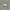 Lacoste Luxury Harrington jacket Pria gray photo 4