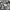 Lacoste Luxury Harrington jacket Pria gray photo 8