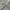 Lacoste Luxury Harrington jacket Pria gray photo 3