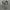 Lacoste Luxury Harrington jacket Pria gray photo 2