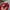 Moncler Sportswear Casual Hat Pria red photo 4