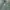 Topten Vintage Casual shirt Pria green gray photo 3