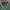 Topten Vintage Casual shirt Pria green gray photo 4