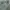 Topten Vintage Casual shirt Pria green gray photo 2