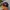 Vintage Y2K Hat Pria black orange photo 4