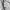 thisisneverthat Streetwear Hoody Pria gray photo 5