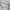 Dior Luxury Formal shirt Pria multicolor photo 3