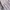 Casual Sweater Pria white photo 8