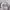 Casual Sweater Pria white photo 7
