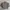Uniqlo Streetwear Casual Harrington Jacket Pria Multicolor Gray