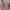 Beams Streetwear Y2K Casual pants Pria gray photo 6