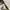 Vintage Y2K sunGlass blackout Wanita tan brown photo 7